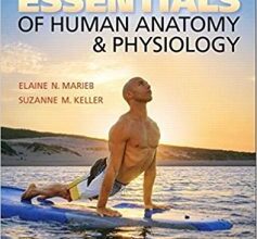 free-pdf-download-Essentials of Human Anatomy & Physiology (12th Edition) 12th Edition