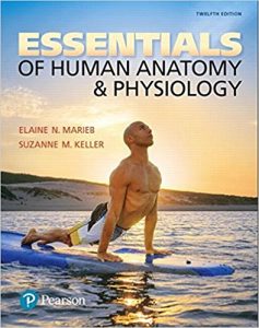 free-pdf-download-Essentials of Human Anatomy & Physiology (12th Edition) 12th Edition