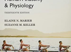 free-pdf-download-Essentials of Human Anatomy & Physiology 13th Edition