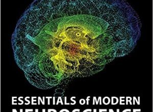 free-pdf-download-Essentials of Modern Neuroscience