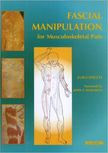 free-pdf-download-Fascial Manipulation for Musculoskeletal Pain Hardcover – 2004