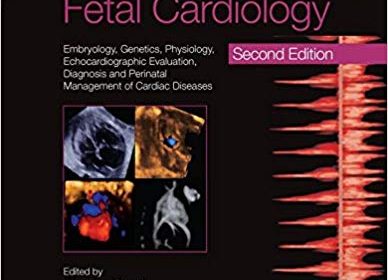 free-pdf-download-Fetal Cardiology: Embryology