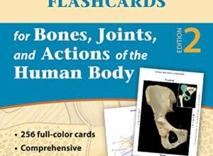 free-pdf-download-Flashcards for Bones