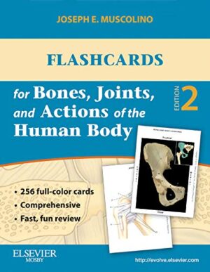 free-pdf-download-Flashcards for Bones