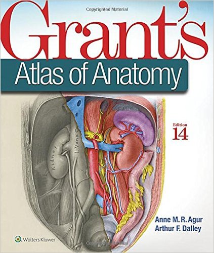 free-pdf-download-Grant’s Atlas of Anatomy (Grant