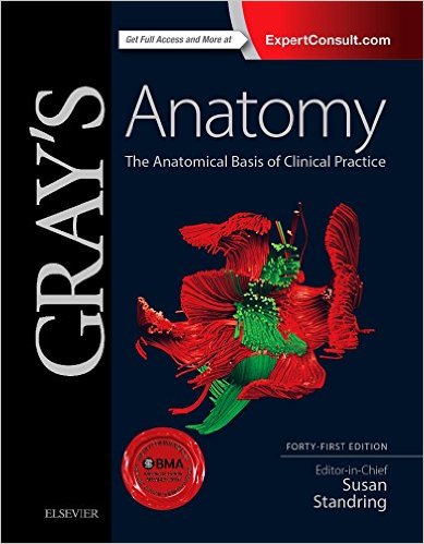 free-pdf-download-Gray’s Anatomy: The Anatomical Basis of Clinical Practice