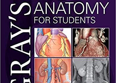 free-pdf-download-Gray’s Anatomy for Students 4th Edition