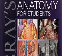 free-pdf-download-Gray’s Anatomy for Students: With Student Consult Online Access 4th Edition