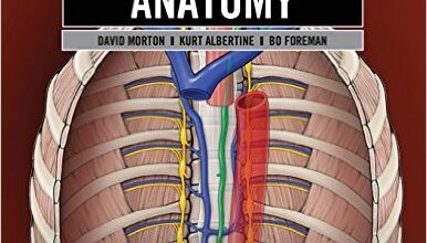 free-pdf-download-Gross Anatomy: The Big Picture (LANGE The Big Picture) 1st Edition