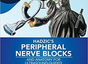 free-pdf-download-Hadzic’s Peripheral Nerve Blocks and Anatomy for Ultrasound-Guided Regional Anesthesia