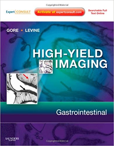 free-pdf-download-High Yield Imaging: Gastrointestinal: Expert Consult – Online and Print