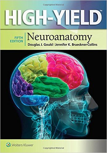 free-pdf-download-High-Yield™ Neuroanatomy (High-Yield Series) Fifth Edition