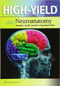 free-pdf-download-High-Yield™ Neuroanatomy (High-Yield Series) Fifth Edition