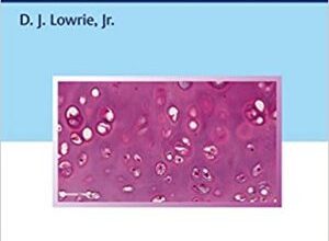 free-pdf-download-Histology – An Essential Textbook