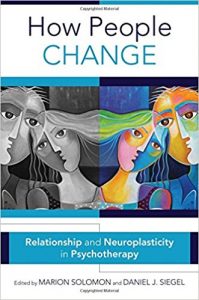 free-pdf-download-How People Change: Relationships and Neuroplasticity in Psychotherapy (Norton Series on Interpersonal Neurobiology) 1st Edition