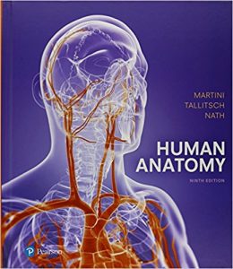 free-pdf-download-Human Anatomy (9th Edition) 9th Edition