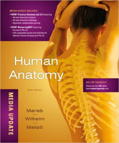 free-pdf-download-Human Anatomy