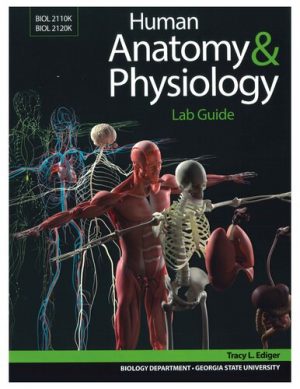 free-pdf-download-Human Anatomy & Physiology Lab Guide