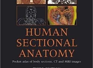 free-pdf-download-Human Sectional Anatomy Pocket Atlas of Body Sections