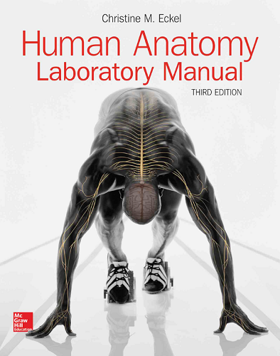 free-pdf-download-Human anatomy laboratory manual