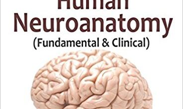 free-pdf-download-Inderbir Singh’s Textbook of Human Neuroanatomy: Fundamental and Clinical 10th Edition