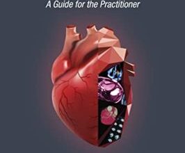 free-pdf-download-Integrated Non-Invasive Cardiovascular Imaging: A Guide for the Practitioner (Non-serial Publications)