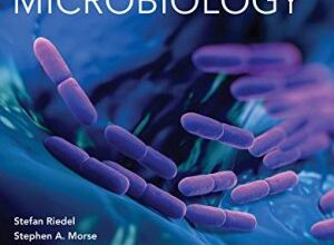 free-pdf-download-Jawetz Melnick & Adelbergs Medical Microbiology 28th Edition