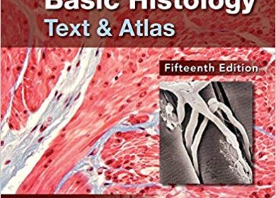 free-pdf-download-Junqueira’s Basic Histology: Text and Atlas