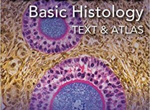 free-pdf-download-Junqueira’s Basic Histology: Text and Atlas