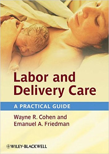 free-pdf-download-Labor and Delivery Care: A Practical Guide 1st Edition