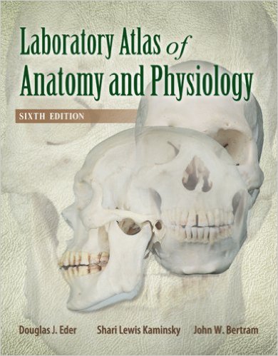 free-pdf-download-Laboratory Atlas of Anatomy & Physiology 6th Edition