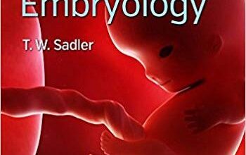 free-pdf-download-Langman’s Medical Embryology (Longmans Medical Embryolgy) Fourteenth