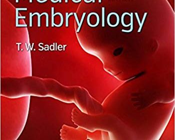 free-pdf-download-Langman’s Medical Embryology (Longmans Medical Embryolgy) Fourteenth