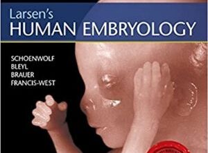 free-pdf-download-Larsen’s Human Embryology 5th Edition