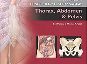 free-pdf-download-Lippincott Concise Illustrated Anatomy: Thorax