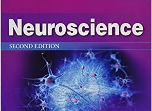 free-pdf-download-Lippincott Illustrated Reviews: Neuroscience 2nd Edition