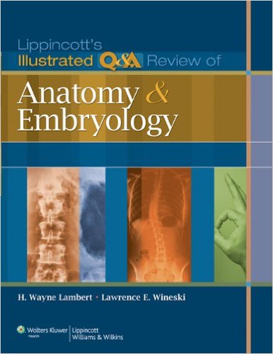 free-pdf-download-Lippincott’s Illustrated Q&A Review of Anatomy and Embryology