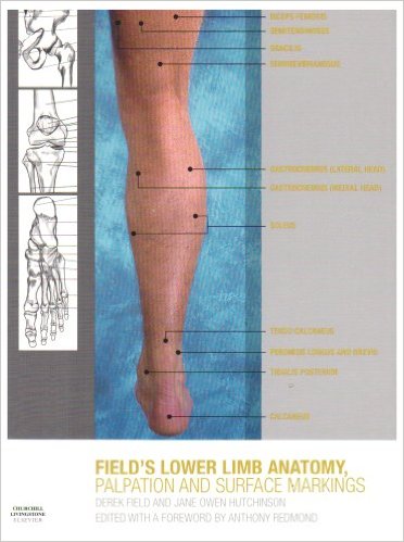 free-pdf-download-Lower Limb Anatomy