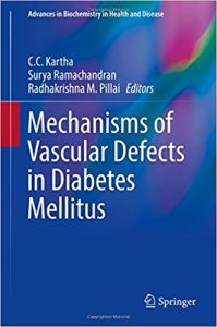 free-pdf-download-Mechanisms of Vascular Defects in Diabetes Mellitus (Advances in Biochemistry in Health and Disease) 1st ed. 2017 Edition