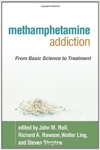 free-pdf-download-Methamphetamine Addiction: From Basic Science to Treatment 1st Edition