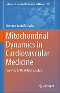 free-pdf-download-Mitochondrial Dynamics in Cardiovascular Medicine (Advances in Experimental Medicine and Biology) 1st ed. 2017 Edition