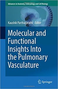 free-pdf-download-Molecular and Functional Insights Into the Pulmonary Vasculature (Advances in Anatomy