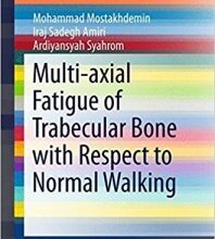 free-pdf-download-Multi-axial Fatigue of Trabecular Bone with Respect to Normal Walking (SpringerBriefs in Applied Sciences and Technology)