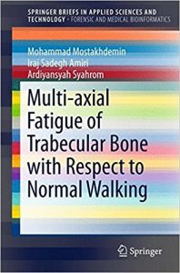 free-pdf-download-Multi-axial Fatigue of Trabecular Bone with Respect to Normal Walking (SpringerBriefs in Applied Sciences and Technology)