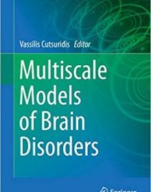 free-pdf-download-Multiscale Models of Brain Disorders