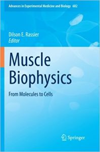 free-pdf-download-Muscle Biophysics: From Molecules to Cells (Advances in Experimental Medicine and Biology) 2010th Edition