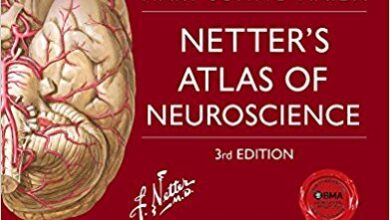 free-pdf-download-Netter’s Atlas of Neuroscience