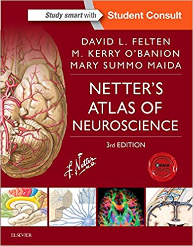 free-pdf-download-Netter’s Atlas of Neuroscience