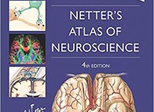 free-pdf-download-Netter’s Atlas of Neuroscience 4th Edition