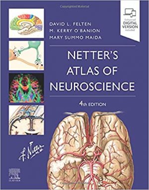 free-pdf-download-Netter’s Atlas of Neuroscience 4th Edition